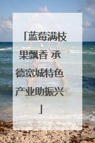 蓝莓满枝果飘香 承德宽城特色产业助振兴