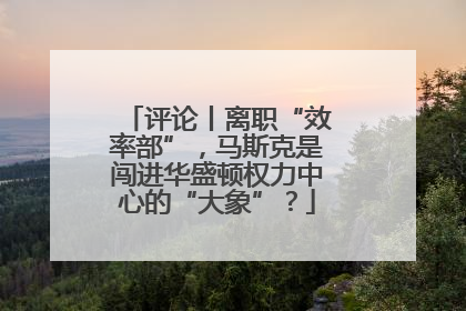 评论丨离职“效率部”，马斯克是闯进华盛顿权力中心的“大象”？