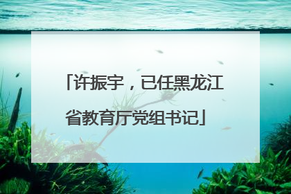 许振宇，已任黑龙江省教育厅党组书记