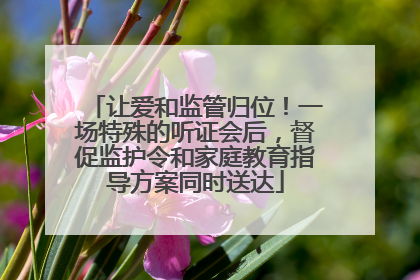 让爱和监管归位！一场特殊的听证会后，督促监护令和家庭教育指导方案同时送达