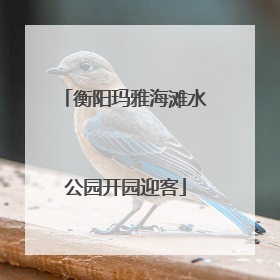 衡阳玛雅海滩水公园开园迎客