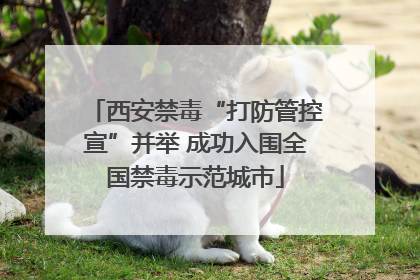 西安禁毒“打防管控宣”并举 成功入围全国禁毒示范城市