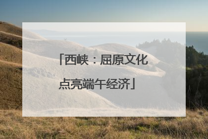 西峡：屈原文化点亮端午经济