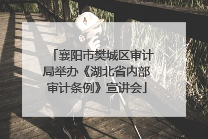 襄阳市樊城区审计局举办《湖北省内部审计条例》宣讲会