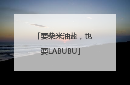 要柴米油盐，也要LABUBU