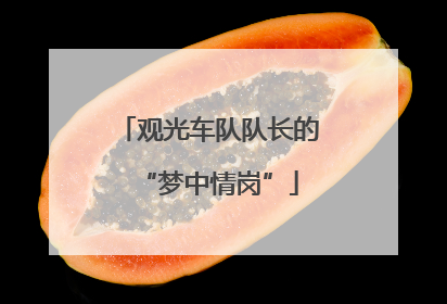 观光车队队长的“梦中情岗”