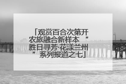 观赏百合次第开 农旅融合新样本 “胜日寻芳·花漾兰州”系列报道之七