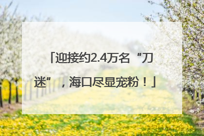 迎接约2.4万名“刀迷”，海口尽显宠粉！