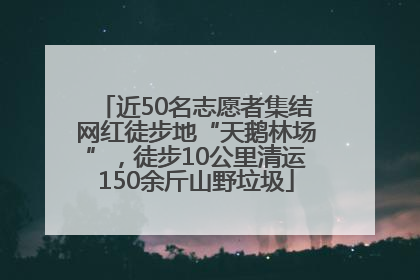 近50名志愿者集结网红徒步地“天鹅林场”，徒步10公里清运150余斤山野垃圾