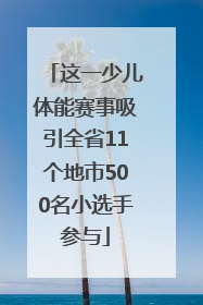 这一少儿体能赛事吸引全省11个地市500名小选手参与
