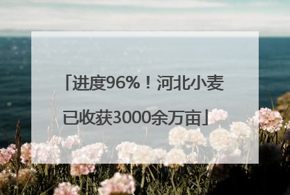 进度96%！河北小麦已收获3000余万亩