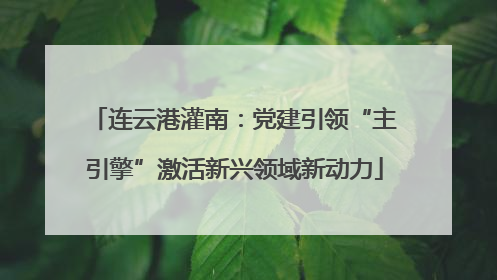 连云港灌南：党建引领“主引擎”激活新兴领域新动力
