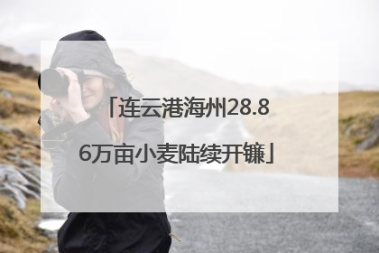 连云港海州28.86万亩小麦陆续开镰