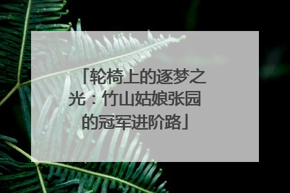 轮椅上的逐梦之光：竹山姑娘张园的冠军进阶路