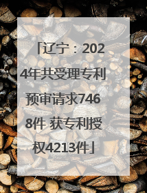 辽宁：2024年共受理专利预审请求7468件 获专利授权4213件