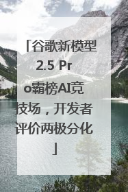 谷歌新模型2.5 Pro霸榜AI竞技场，开发者评价两极分化