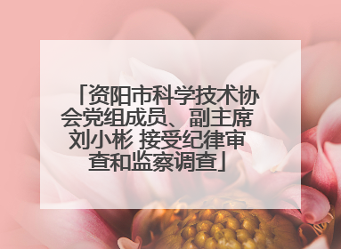 资阳市科学技术协会党组成员、副主席刘小彬 接受纪律审查和监察调查