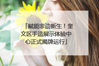 赋能非遗新生！奎文区手造展示体验中心正式揭牌运行