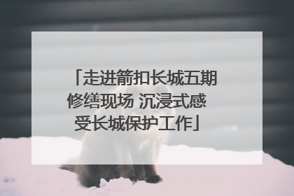 走进箭扣长城五期修缮现场 沉浸式感受长城保护工作