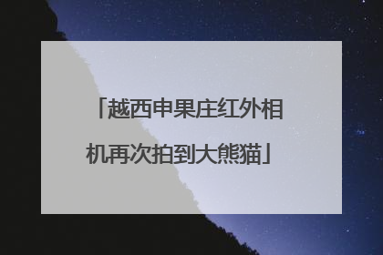 越西申果庄红外相机再次拍到大熊猫