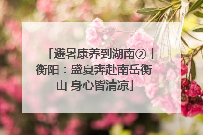 避暑康养到湖南②丨衡阳：盛夏奔赴南岳衡山 身心皆清凉
