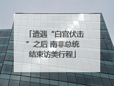遭遇“白宫伏击”之后 南非总统结束访美行程