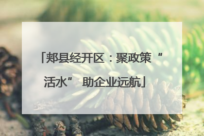 郏县经开区：聚政策“活水” 助企业远航