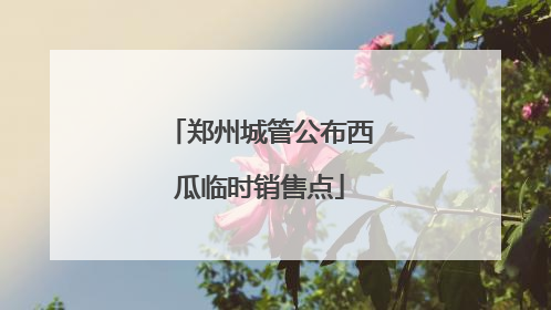 郑州城管公布西瓜临时销售点