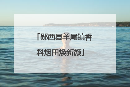 郧西县羊尾镇香料烟田焕新颜