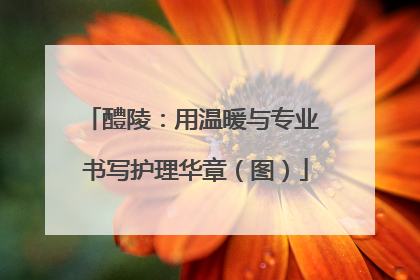 醴陵：用温暖与专业 书写护理华章（图）