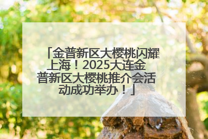 金普新区大樱桃闪耀上海！2025大连金普新区大樱桃推介会活动成功举办！