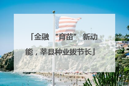 金融 “育苗” 新动能，莘县种业拔节长