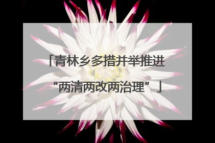 青林乡多措并举推进“两清两改两治理”