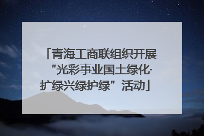 青海工商联组织开展“光彩事业国土绿化·扩绿兴绿护绿”活动