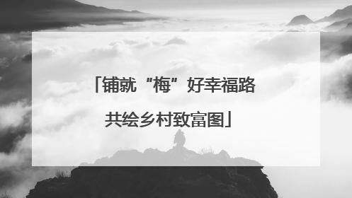 铺就“梅”好幸福路 共绘乡村致富图