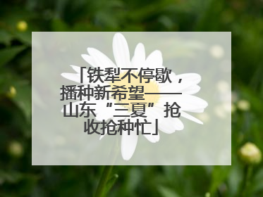 铁犁不停歇，播种新希望——山东“三夏”抢收抢种忙