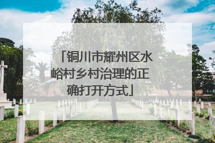 铜川市耀州区水峪村乡村治理的正确打开方式
