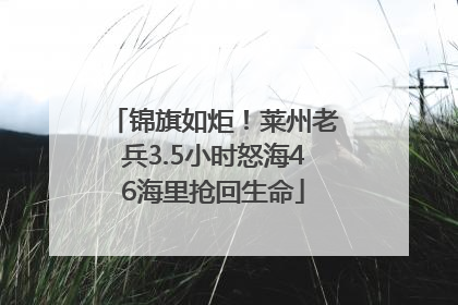 锦旗如炬！莱州老兵3.5小时怒海46海里抢回生命