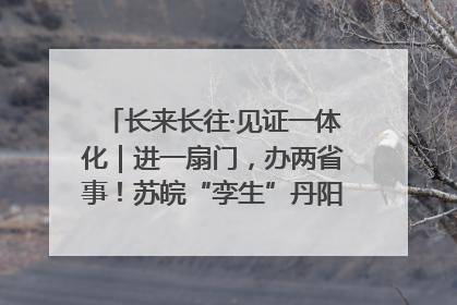 长来长往·见证一体化｜进一扇门，办两省事！苏皖“孪生”丹阳如何做到的？