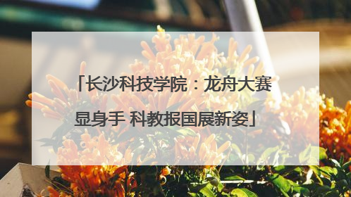 长沙科技学院：龙舟大赛显身手 科教报国展新姿