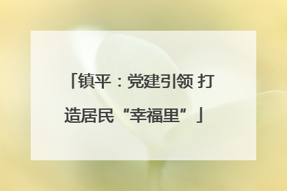 镇平：党建引领 打造居民“幸福里”