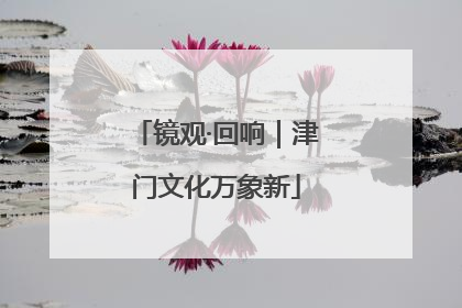 镜观·回响｜津门文化万象新
