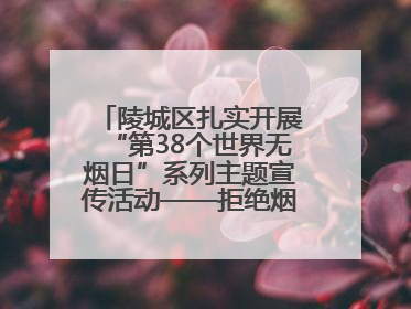 陵城区扎实开展“第38个世界无烟日”系列主题宣传活动——拒绝烟草诱惑 对第一支烟说不