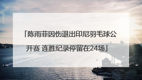 陈雨菲因伤退出印尼羽毛球公开赛 连胜纪录停留在24场