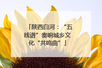 陕西白河：“五线谱”奏响城乡文化“共鸣曲”