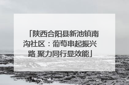 陕西合阳县新池镇南沟社区：葡萄串起振兴路 聚力同行显效能