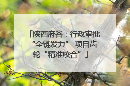 陕西府谷：行政审批“全链发力” 项目齿轮“精准咬合”