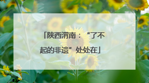 陕西渭南：“了不起的非遗”处处在