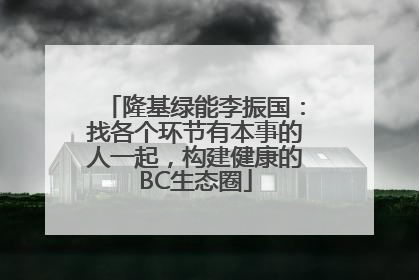 隆基绿能李振国：找各个环节有本事的人一起，构建健康的BC生态圈