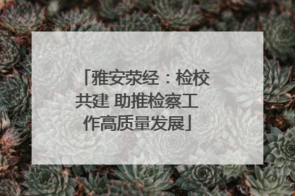 雅安荥经：检校共建 助推检察工作高质量发展